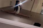 At the gym