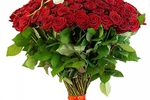 101 Rose for Eva