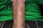Hard Cock