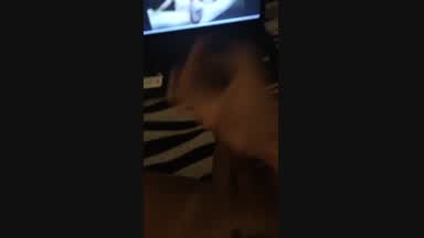 Jerkoff till completion