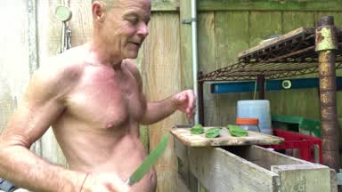 Aloe Vera Preparation