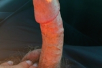 DaddyBear4U