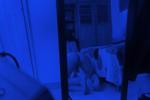░(●'◡'●)░a░n░g░e░l░●'◡'●)░ — Mysterious blue 🩵💙