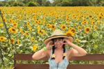 🌻💛