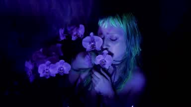 Psychedelic Plaything