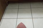 bananarama 135 live Chaturbate webcam gallery thumbnail