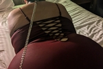Doggy And Collar