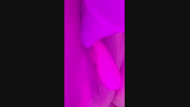 para mis amados fans