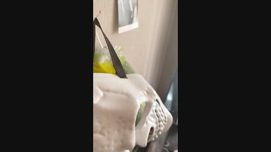 cum show(13 minutes)