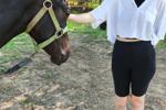 yana โ It's a special feeling when you pet a horse ๐ฅฐ