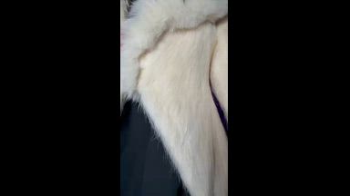 Fur puppy training