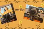 New Cam 📸