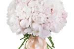 Buy me flowers!