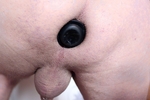 Anal Plug