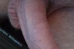 Semi