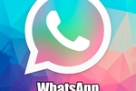 Buy My WhatsApp