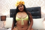 🌻🌻