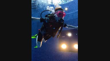 diving🪼
