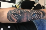 My Tattoos