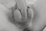 ma bite