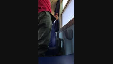 fernan — Public train cum