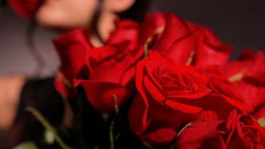 Until the last rose falls... 🌹