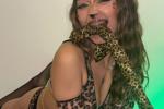 Elysia