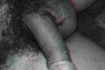 cock