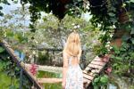 a wonderful garden
