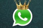 whatsapp for life !!!