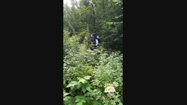 In the forest