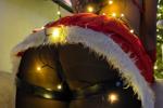 Open your Christmas gift