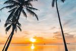 My dream is to travel
