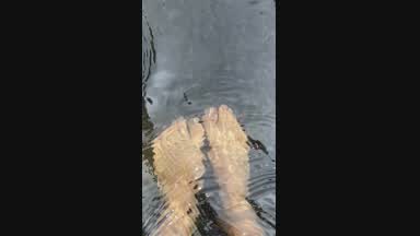 feet in the water