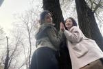 us and the tree