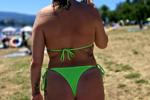Summer Vibes