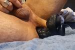 anal fun