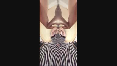 enter rhe portal