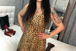 Wild cat