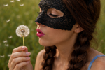 Wild flowers collection