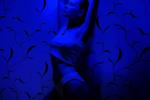 Red n Blue
