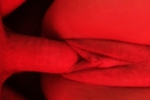 XX pics