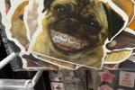 Funny photos for my lovers