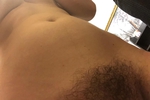 hairy bush
