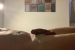 kielius62 live Chaturbate webcam gallery thumbnail