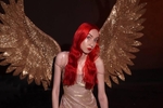 Fallen Angel