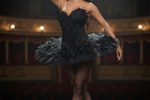 Black or White Swan?