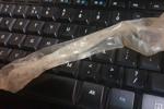 Used condoms, shipping with tracking number!