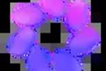 paulamiler_1