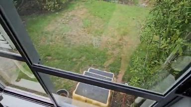 HUGE COCK SWINGING